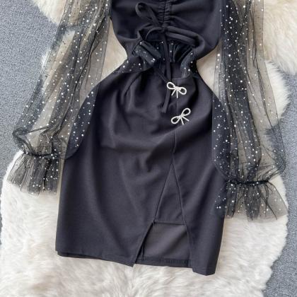 Elegant Mesh Black Long Sleeve Dress