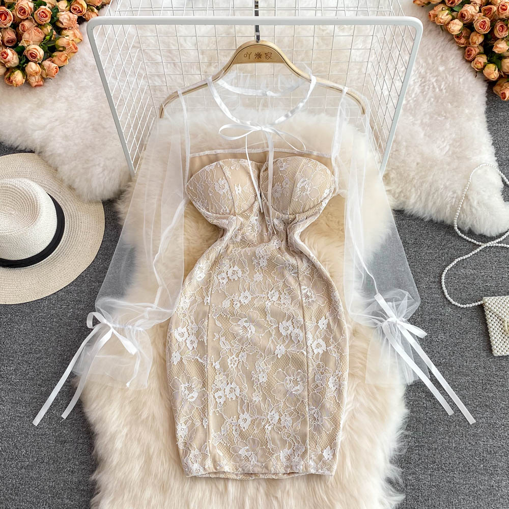Long Sleeve Sexy Lace Bodycon Dress