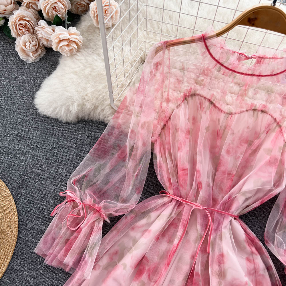 Ashley Ruffle Lace Fairy Mesh French Fashion Dress
