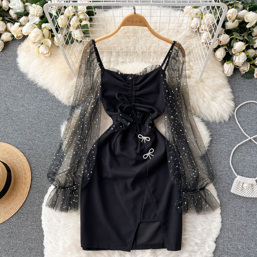 Elegant Mesh Black Long Sleeve Dress